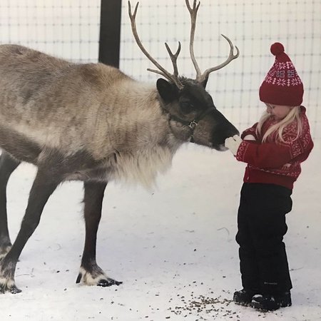 Leavenworth Reindeer Makes a Visit to Lee Elementary