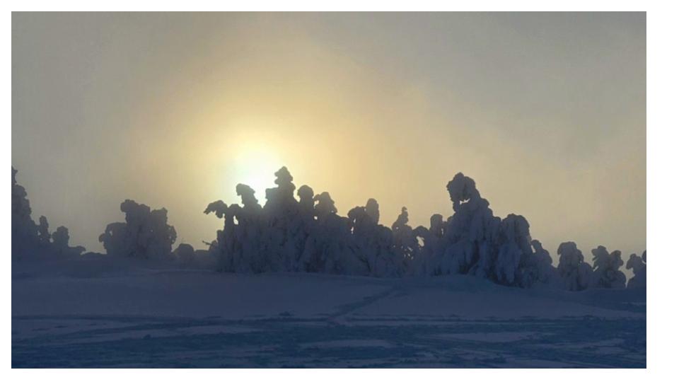 Winter at Mission Ridge