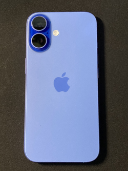 Are Phone Rules Too Strict?