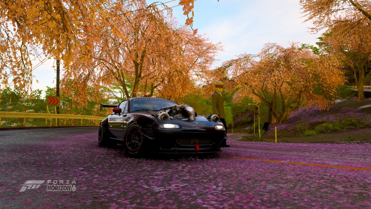 Forza Horizon 6, Straight Heat?